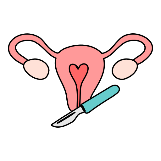 GYNECOLOGICAL SURGERY